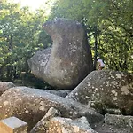 Le Repaire Du Chataignier, Maison A La Campagne, 8 Pers, 4 Ch, Sidobre Βίλα Ferrieres (Tarn)