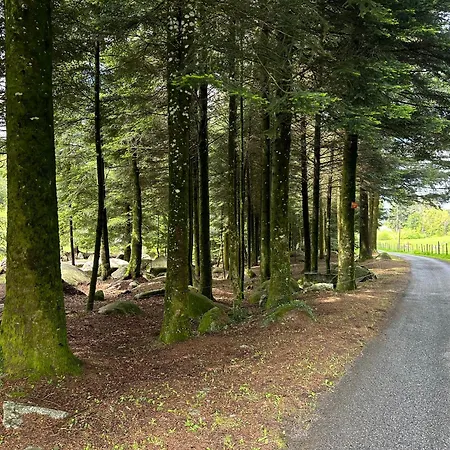 فيلة Le Repaire Du Chataignier, Maison A La Campagne, 8 Pers, 4 Ch, Sidobre Ferrieres (Tarn)