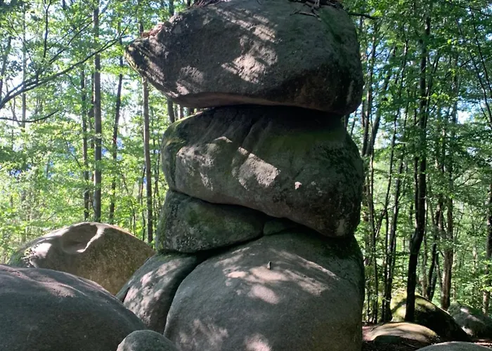 فيلة Le Repaire Du Chataignier, Maison A La Campagne, 8 Pers, 4 Ch, Sidobre Ferrieres (Tarn)