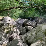 Vila Le Repaire Du Chataignier, Maison A La Campagne, 8 Pers, 4 Ch, Sidobre *