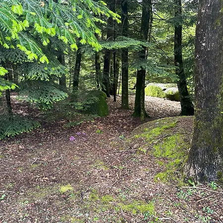 Villa Le Repaire Du Chataignier, Maison A La Campagne, 8 Pers, 4 Ch, Sidobre *