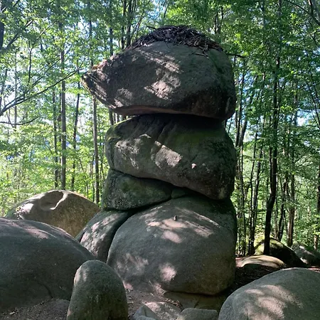 Villa Le Repaire Du Chataignier, Maison A La Campagne, 8 Pers, 4 Ch, Sidobre Ferrieres (Tarn)
