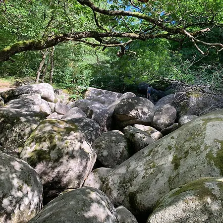 Вилла Le Repaire Du Chataignier, Maison A La Campagne, 8 Pers, 4 Ch, Sidobre *