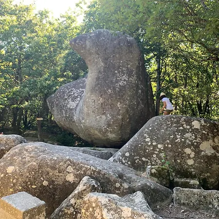 Le Repaire Du Chataignier, Maison A La Campagne, 8 Pers, 4 Ch, Sidobre Вилла Ferrieres (Tarn)