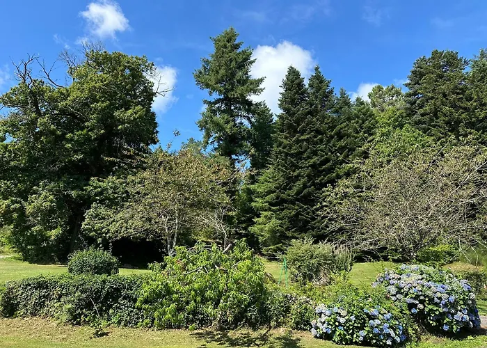 Le Repaire Du Chataignier, Maison A La Campagne, 8 Pers, 4 Ch, Sidobre Ferrieres (Tarn)
