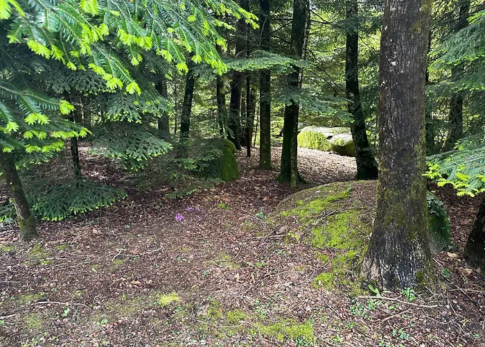 Vila Le Repaire Du Chataignier, Maison A La Campagne, 8 Pers, 4 Ch, Sidobre *