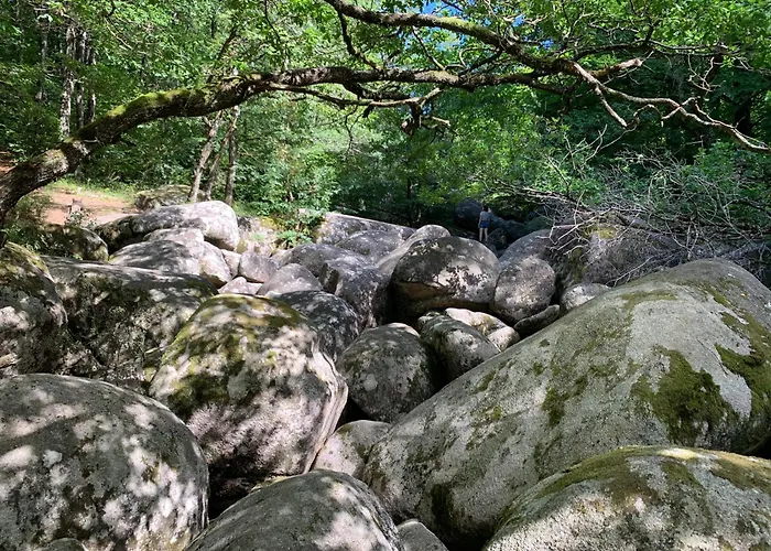 Vila Le Repaire Du Chataignier, Maison A La Campagne, 8 Pers, 4 Ch, Sidobre *