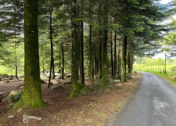 Vila Le Repaire Du Chataignier, Maison A La Campagne, 8 Pers, 4 Ch, Sidobre Ferrieres (Tarn)