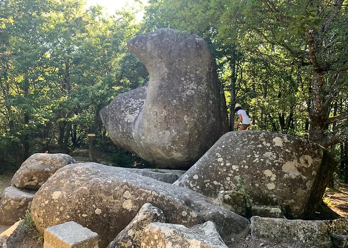 Le Repaire Du Chataignier, Maison A La Campagne, 8 Pers, 4 Ch, Sidobre Vila Ferrieres (Tarn)